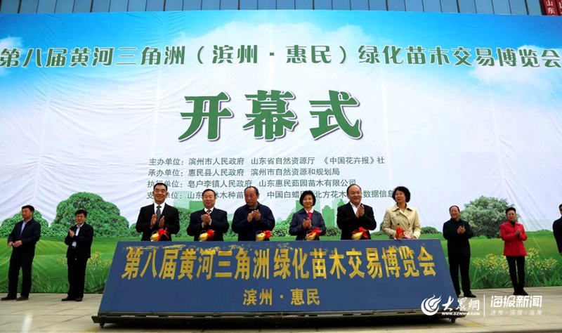 如何识别和保护国槐?——实战攻略