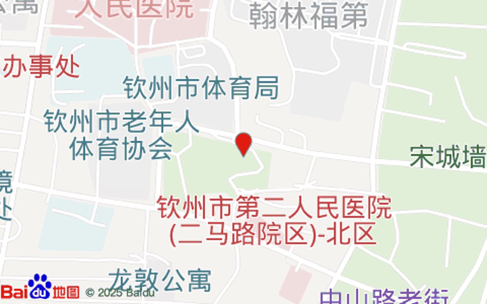 国槐为何成为城市绿化首选?——深度剖析其优势与劣势
